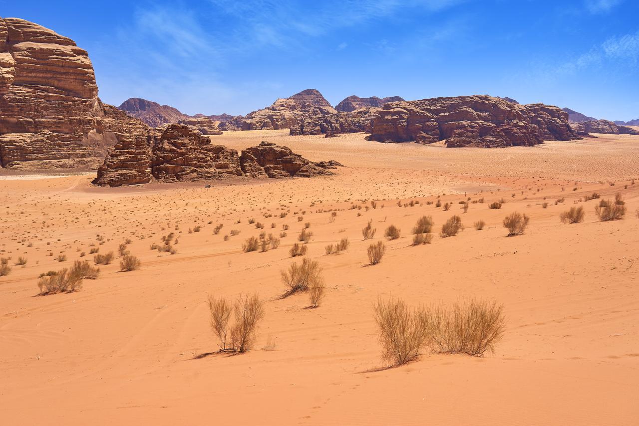Wadi Rum Green Desert المظهر الخارجي الصورة